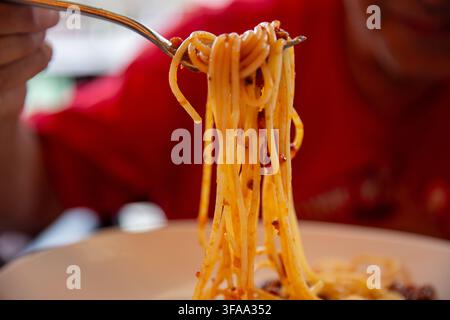 Una vista ravvicinata di una forchetta di metallo che torce e solleva lunghi filoni di spaghetti ricoperti di salsa bolognese al pomodoro rossa da un piatto bianco. Foto Stock