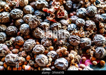 Vista ravvicinata dettagliata di frutta secca mista a nocciole e gusci cartacei, che crea un insieme fitto di forme naturali marroni e superfici testurizzate variate Foto Stock
