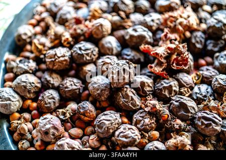 Vista ravvicinata di frutti secchi rugosi assortiti, nocciole e materiale vegetale secco disposti insieme, evidenziando le tonalità marroni naturali, le forme e la trama Foto Stock