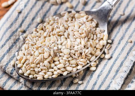 Seme di orzo bianco secco biologico pronto per la cottura Foto Stock