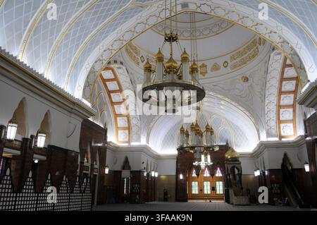 Vista interna della moschea Omar Ali Saifuddien che mostra un lampadario ornato, Bandar Seri Begawan, Brunei. Foto Stock