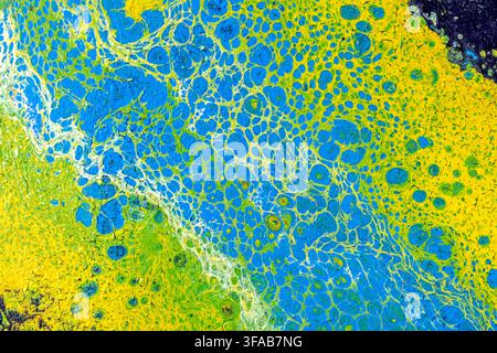 L'illustrazione con texture marmorizzata acquosa con celle organiche e multicolore è perfetta per sfondi e texture Foto Stock