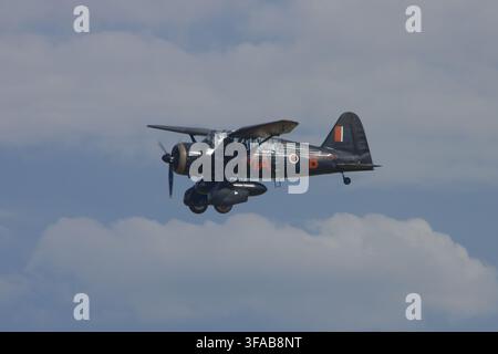 Westland Lysander, aereo vintage britannico in volo Foto Stock