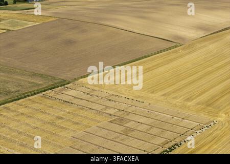 Vista aerea di campi agricoli con frumento dorato e stoppie raccolte in Polonia. Foto Stock