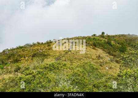 Una collina erbosa avvolta dalla nebbia, con affioramenti rocciosi e vegetazione sparsa sotto un cielo nuvoloso. Foto Stock