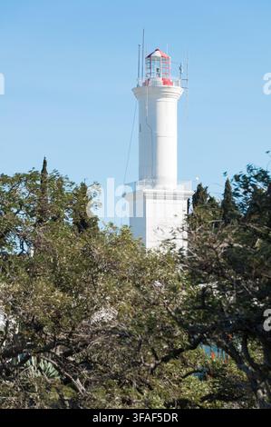 Un faro bianco con lanterna rossa si erge contro un cielo blu limpido a Colonia del Sacramento, Uruguay, parzialmente incorniciato da alberi verdi lussureggianti. Foto Stock