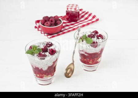 Pudding di latte di cocco e semi di chia con granola di avena, marmellata di lamponi, scaglie di cocco e menta nel bicchiere su sfondo di legno bianco Foto Stock