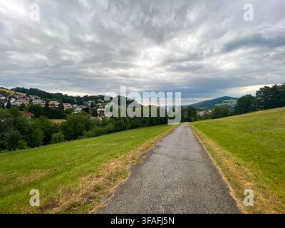 Sentiero asfaltato attraverso una prato verde che porta verso un villaggio rurale e colline boschive Foto Stock