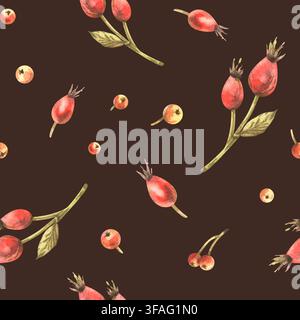 Bacche di rosa autunnali e piccole mele rosse. Illustrazioni acquerellate disegnate a mano. Motivo senza cuciture su sfondo marrone scuro per tessuti, imballaggi e Foto Stock