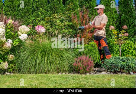 Una persona pota arbusti e si prende cura dei fiori in un giardino. Diverse piante e fiori crescono intorno, mostrando colori diversi. Il sole Foto Stock
