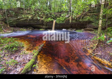 Cascata di Itaubal nel Parco Nazionale di Jaú Foto Stock