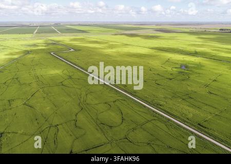 Vista a droni di risaie irrigate con le acque della Lagoa Mirim - pianura costiera Foto Stock