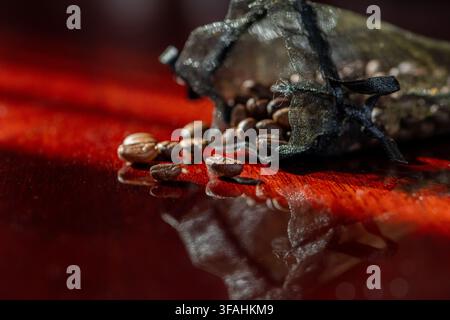 I chicchi di caffè si spargono da una borsa a rete nera su una superficie di legno rosso lucida. Foto Stock
