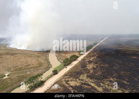 Vista a droni di un'area di pascolo vicino a un fiume colpita da un incendio boschivo nel Pantanal - Transpantaneira Highway MT-060 Foto Stock