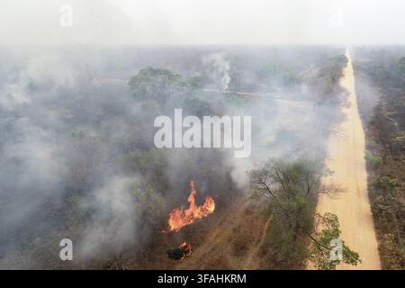 Vista a drone di una foresta nativa colpita da un incendio boschivo nelle zone umide ai margini della strada Transpantaneira MT-060 Foto Stock