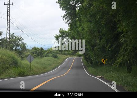 Strada rurale tortuosa attraverso una lussureggiante foresta tropicale Foto Stock