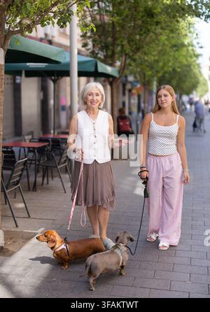 Anziana che cammina con sua nipote lungo la strada, passeggiano con cani bassotti Foto Stock