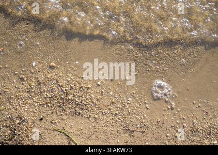 Acqua chiara e poco profonda che scorre su sabbia dorata e piccoli ciottoli con onde gentili e schiuma naturale lungo una riva tranquilla Foto Stock