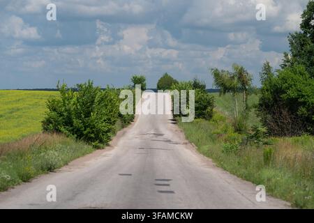 Stretta strada di campagna lastricata sale su una dolce salita attraverso prati verdi e campi di fiori selvatici gialli sotto drammatiche nuvole cumulus, con aperto h Foto Stock