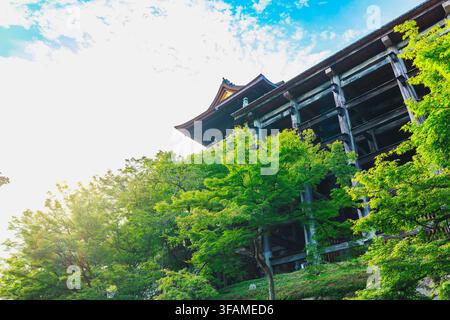 Una vista a basso angolo che guarda in alto attraverso gli alberi verdi verso il colossale sistema di impalcatura in legno che sostiene il grande palco del tempio di Kiyomizu-dera Foto Stock