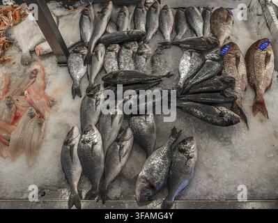 Brasato fresco (Dorade), sogliola (Solea solea) e spigola (Moronidae) sul ghiaccio, mercato del pesce, Enschede, Paesi Bassi Foto Stock