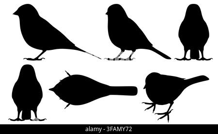 Sei silhouette di uccelli neri su sfondo bianco, con un passero, in un set pulito e versatile. Perfetto per progetti di design che richiedono elementi semplici, ele Illustrazione Vettoriale
