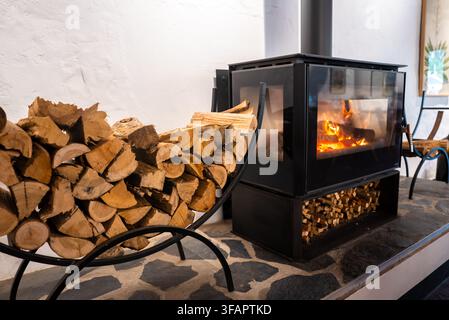 Camino moderno che brucia tronchi di legno con rastrelliera per legna da ardere all'interno di una stanza accogliente Foto Stock