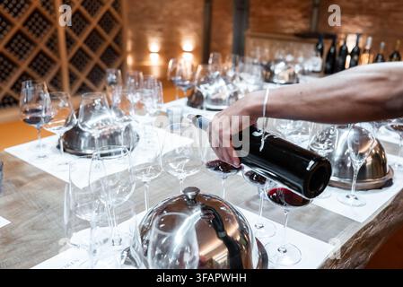 Persona che versa vino rosso nei bicchieri durante una sessione di degustazione Foto Stock