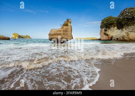 Vista delle formazioni rocciose lungo la riva con onde a Cathedral Cove in Nuova Zelanda Foto Stock