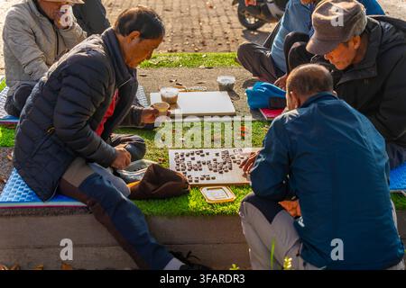 Vista di gente del posto che gioca a un gioco da tavolo a Bukseoporu (Bastione d'artiglieria nordoccidentale) durante il giorno in autunno, Paldal-gu, Suwon-si, Gyeonggi-do, Corea del Sud Foto Stock
