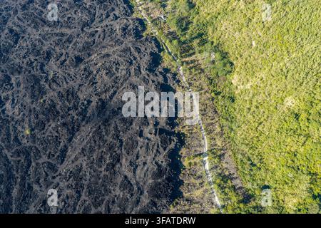 Vista aerea di un paesaggio drammatico con un forte contrasto tra un flusso di lava nero solidificato e una foresta verde rigogliosa separati da una strada stretta i Foto Stock