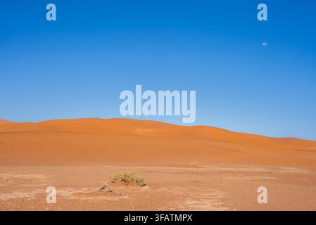 Dune di sabbia arancione e luna sotto un cielo sereno a Sossusvlei, Namibia Foto Stock