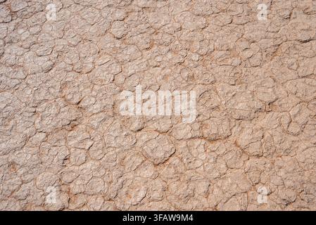 Superficie di terreno argilloso secco e crepato a Deadvlei Sossusvlei in Namibia Foto Stock