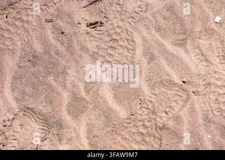 Impronte e segni di suola lasciati sulla sabbia del deserto in Namibia Foto Stock