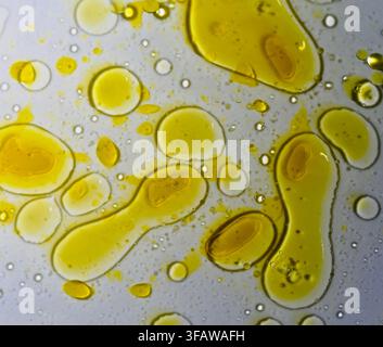 Una fotografia macro che mostra vivaci gocce e pozze di olio d'oliva gialle sospese e fluttuanti in acqua limpida, creando un modello scientifico astratto con rifrazioni morbide e dinamica dei fluidi. Foto Stock