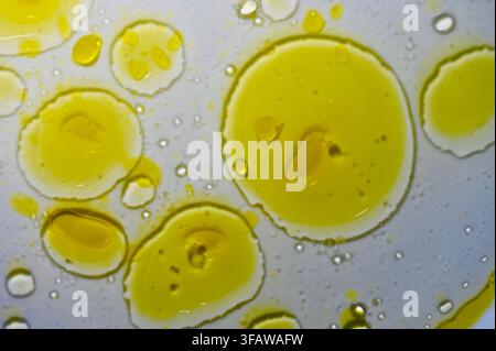 Una fotografia macro che mostra vivaci gocce e pozze di olio d'oliva gialle sospese e fluttuanti in acqua limpida, creando un modello scientifico astratto con rifrazioni morbide e dinamica dei fluidi. Foto Stock