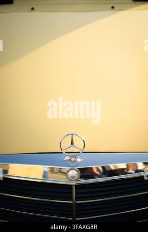 Vista dettagliata del badge Mercedes-Benz, un simbolo riconosciuto a livello internazionale associato all'ingegneria automobilistica e alla storia dei veicoli tedeschi Foto Stock