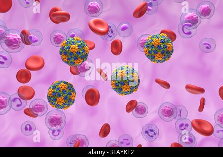 Virus dell'epatite A (HAV) - illustrazione 3D isometrica Foto Stock