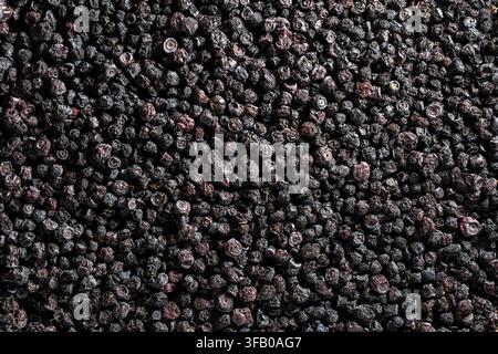 Vista dall'alto texture di sfondo a campo pieno di mirtilli o mirtilli biologici essiccati naturalmente con superficie scura e rugosa e dettagli nitidi sotto li duro Foto Stock