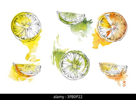 Ruote di agrumi, fette di lime. Arance, limone, pompelmo, frutta mediterranea aromatica, mandarini, texture fresca della buccia. Matita isolata, mano ad acquerello Foto Stock