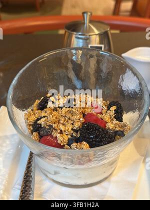 Granola e yogurt con frutti di bosco misti Foto Stock