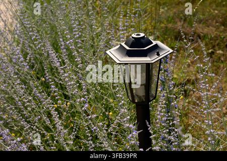 Una moderna lanterna da giardino all'aperto circondata da fiori selvatici estivi e lavanda. Foto Stock