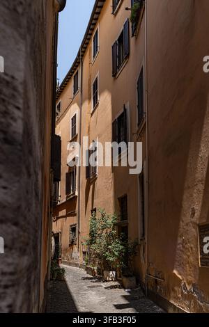 Strada stretta acciottolata illuminata dal sole nel quartiere Monti di Roma, incorniciata da edifici storici di colore ocra caldo, finestre chiuse e piante in vaso nella quiete o Foto Stock