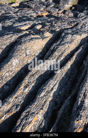 Superficie di substrato eroso con profonde fessure a Lofoten Foto Stock