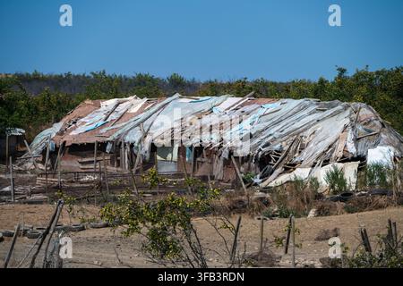 Un piano ampio diurno di un insediamento rurale informale o di uno squat, con strutture in legno improvvisate e tetti in telo di plastica Foto Stock