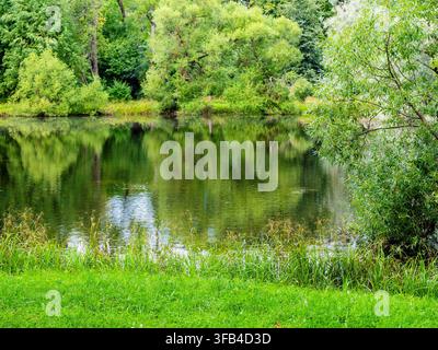 riva verde di uno stagno pittoresco nel parco di Aleksandrovsky Park nella città di Tsarskoye Selo in una giornata estiva soleggiata Foto Stock
