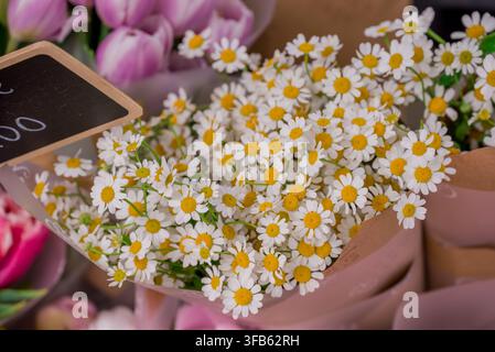 Fiori bellissimi in un giardino estivo come sfondo naturale Foto Stock