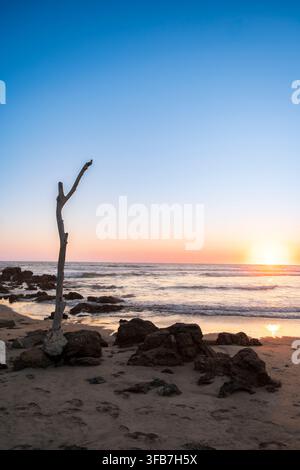 Legno alla deriva su una spiaggia rocciosa al tramonto. Troncones, Guerrero. Messico Foto Stock