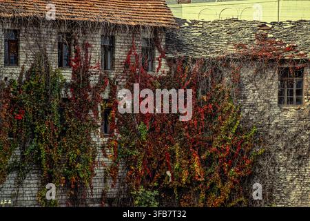 Casa tradizionale in pietra ricoperta di edera autunnale colorata, architettura storica dell'epoca ottomana. Gjirokastër, distretto di Gjirokastër, Albania, Europa Foto Stock