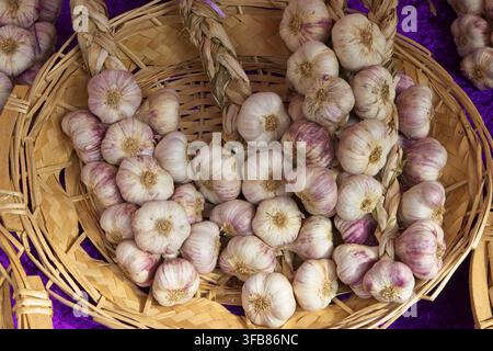Corde intrecciate di teste d'aglio fresche con striature viola disposte all'interno di un vassoio tradizionale in cesto di vimini intrecciato in un mercato all'aperto in Francia. Foto Stock